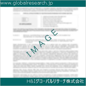 グローバルリサーチ調査資料のイメージ